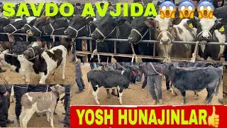 YOSH HUNAJIN NARXLARI BOGDOT MOL BOZOTI