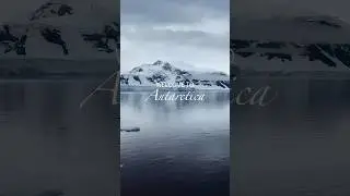 Welcome to Antarctica...