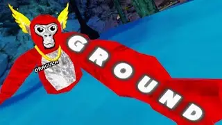 В лобби участников соревнований по игре в гориллы в догонялки!