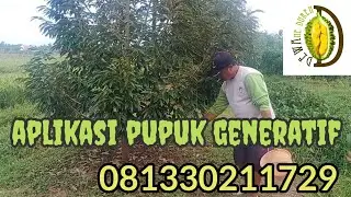 DEWAne Duren Beraksi - Pupuk Pupuk ini Sangat Bermanfaat untuk Fase Generatif