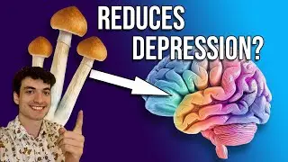 Psilocybin Mushrooms For Depression: LONG LASTING Benefits? NEW Research 2025