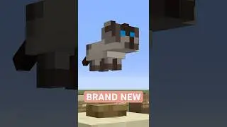 НОВОЕ ОБНОВЛЕНИЕ С КОШКАМИ В MINECRAFT! ВСЕ НОВЫЕ КОТЯТА!