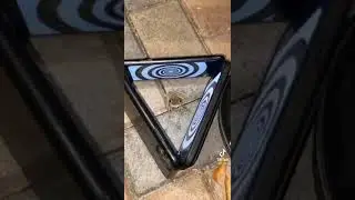 Viral Video Of Frog JumpScare | Frog Trapped In Between Phones Dizzy