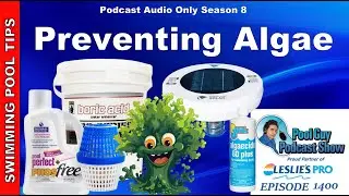Best Ways to Prevent Algae in Your Pool
