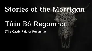 The Morr&iacute;gan&rsquo;s Prophecy to C&uacute; Chulainn | An Irish Myth Retelling