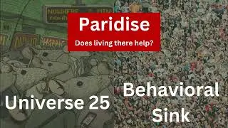 Is Living is paradise worth it? / Universe 25 Behavioral Sink