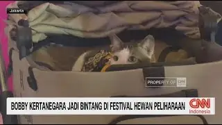 Bobby Kertanegara Hadiri Festival Hewan Peliharaan