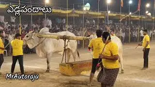 వృషభ బలప్రదర్శన #వృషభములు #yedlapandalu #narasaraopet #palnadu #mrautoraju 