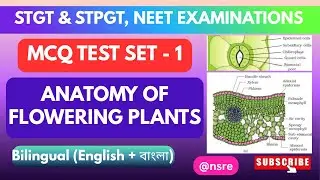 Anatomy of Flowering Plants MCQ Test 1 | NEET AIIMS STGT STPGT TBJEE | Plant Tissues & Growth | NSRE