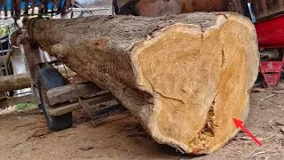 Sawing old, beautifully textured teak wood 