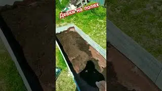 Девки на полях или мажорская грядка продолжение! грядка на газон!