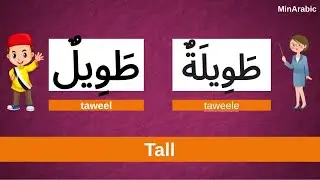 Learn Genders in Arabic with pictures | Learn masculine Feminine Gender | Learn ( Arabic - English )