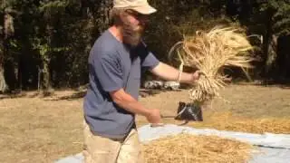Klay Processing Barley Field to Grain