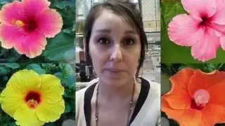 Vlog Mini Series: Volnay - Perlerette