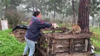 1 Minute Compost How-To by Ellie Berler