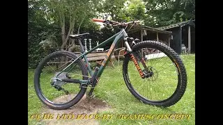 CUBE LTD Race customized 2019