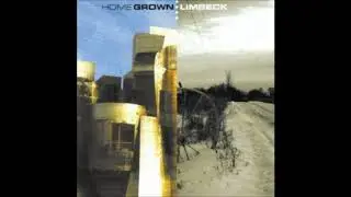 Limbeck - 29 Times