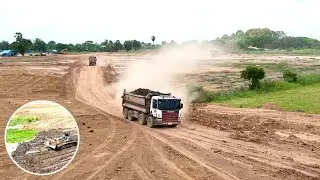 Dump Truck Delivery Sticky Soil and Bulldozer pushing to the farm