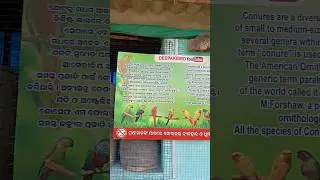 bird farm shorts in morning view / bird farm in odisha