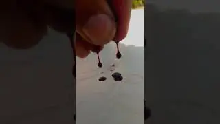 Black mulberry juice | black mulberry picking #mulberry
