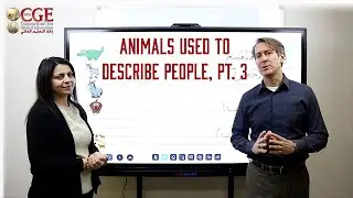 Animals Used to Describe People, Part 3
