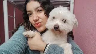 Alistándome para grabar con mi perro😜🍦🐶