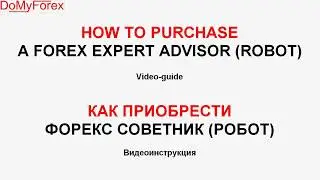 How to purchase Forex robot Expert Advisor 2020