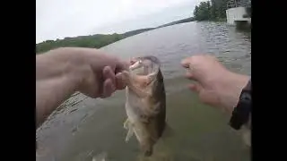 Catching Nice Bass At Tamarack Lake!