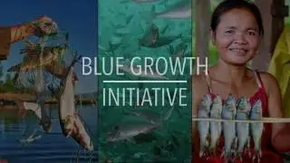 FAO Policy Series: Blue Growth Initiative