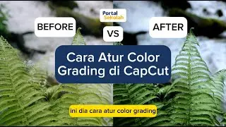 How to Set Color Grading in CapCut | School Portal - Indonesia's Best Digital School Platform