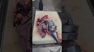Bluefin Giant Tuna Fish Cutting Skills#shorts