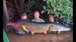 ARAPAIMA PARADISE LODGE - BOLIVIA