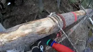 Спортивный туризм пешеходная дистанция.