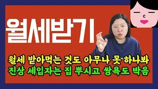 월세 받는 임대인의 삶은 누구나 꿈꾸지만 실제로는 극한직업인 이유