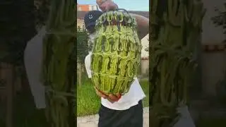 watermelon carving, artistic cutting of berries and fruits tutorial