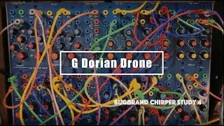 Bugbrand Chirper Study 4 / G Dorian Drone