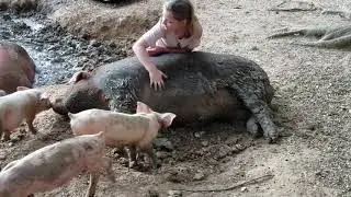 Belly Rub