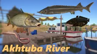 Russian Fishing 4 burbot wild carp sterlet Akhtuba River Spot RF4 #27