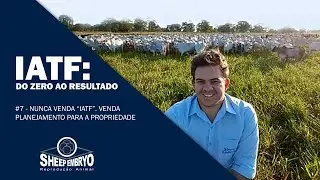 Não 