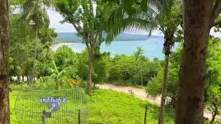 LFS 155: Beach Cove Front Lot for sale facing West Philippines Sea