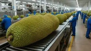 Inside a Modern Vietnamese Jackfruit Drying Factory | From Fresh Jackfruit to Perfect Crispness