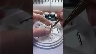 Richard Mille  disassembly  #shrots #watchrepaircenter #watchmaintenance