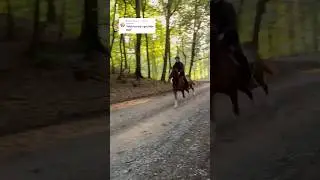 Wait for me I got little legs 🤣 #horse #horses #pony #rider #riding #equestrian  #pferde #funny