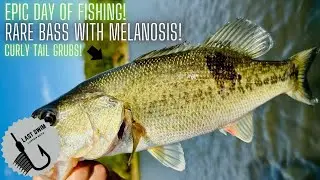 Epic Day Fishing! | Rare Melanosis Bass! Ep.5