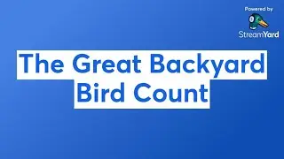 The Great Backyard Bird Count