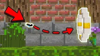 Worlds LARGEST Minecraft Elytra map