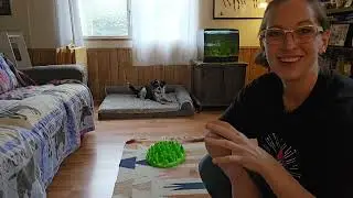 Snuffle Mat Recall: 3 Reward Strategies