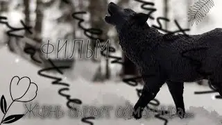 2 серия 