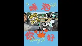 本地人抢不到船票就不回家啦?｜嵊泗跳岛游(上) 上篇(算是)是从上海出发到嵊泗的攻略，上岛前就好奇岛上的人怎么生活工作，终于开始有了一些答案，下期还会有跟本地人闲聊环节#舟山旅游 #嵊泗 #海岛
