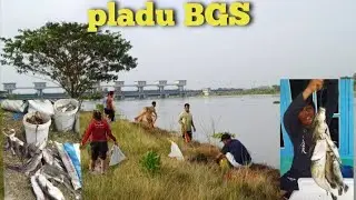 Pladu sungai bengawan solo area bendungan gerak sembayat ( BGS )